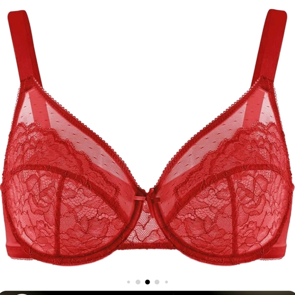 Lace Minimizer Bras - Picture 6 of 6